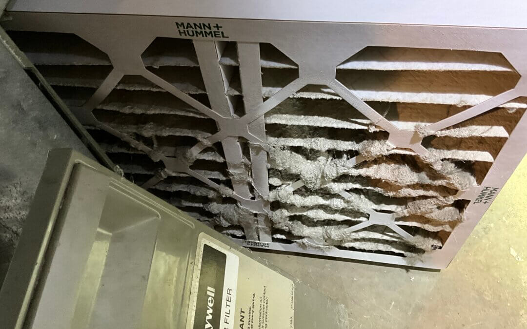 Why Air Filters Matter