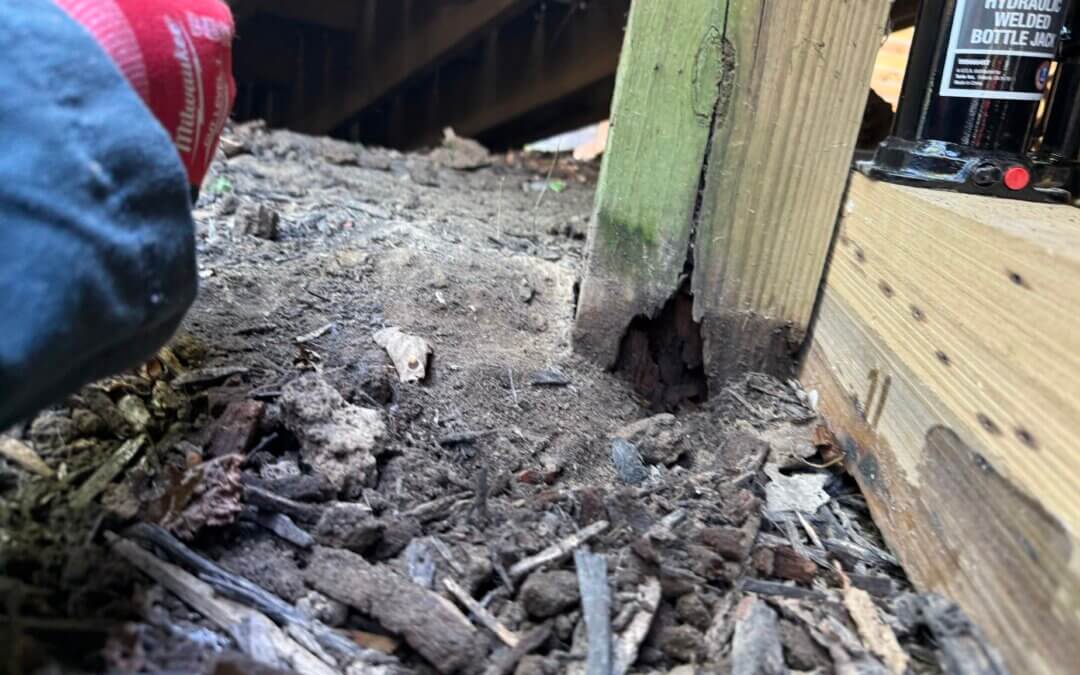 Wood in Contact with the Ground- Why it Matters